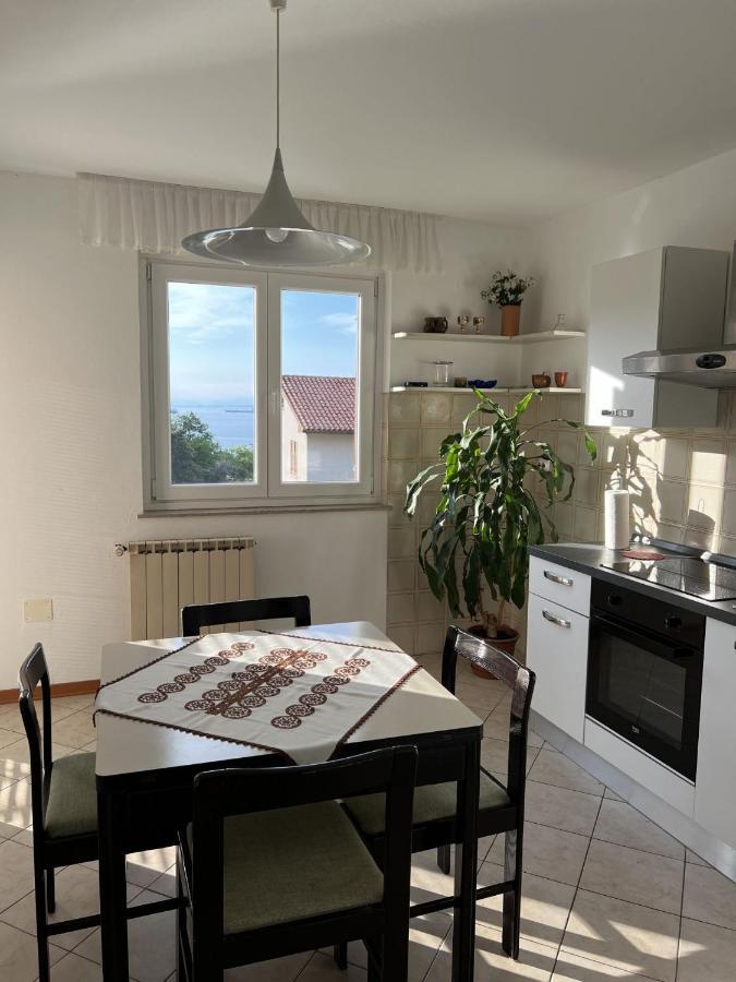Apartments Pavletic 科佩尔 外观 照片